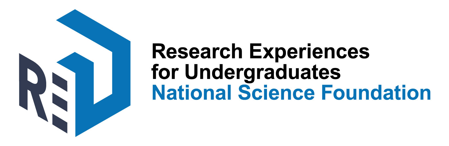 National Science Foundation REU logo